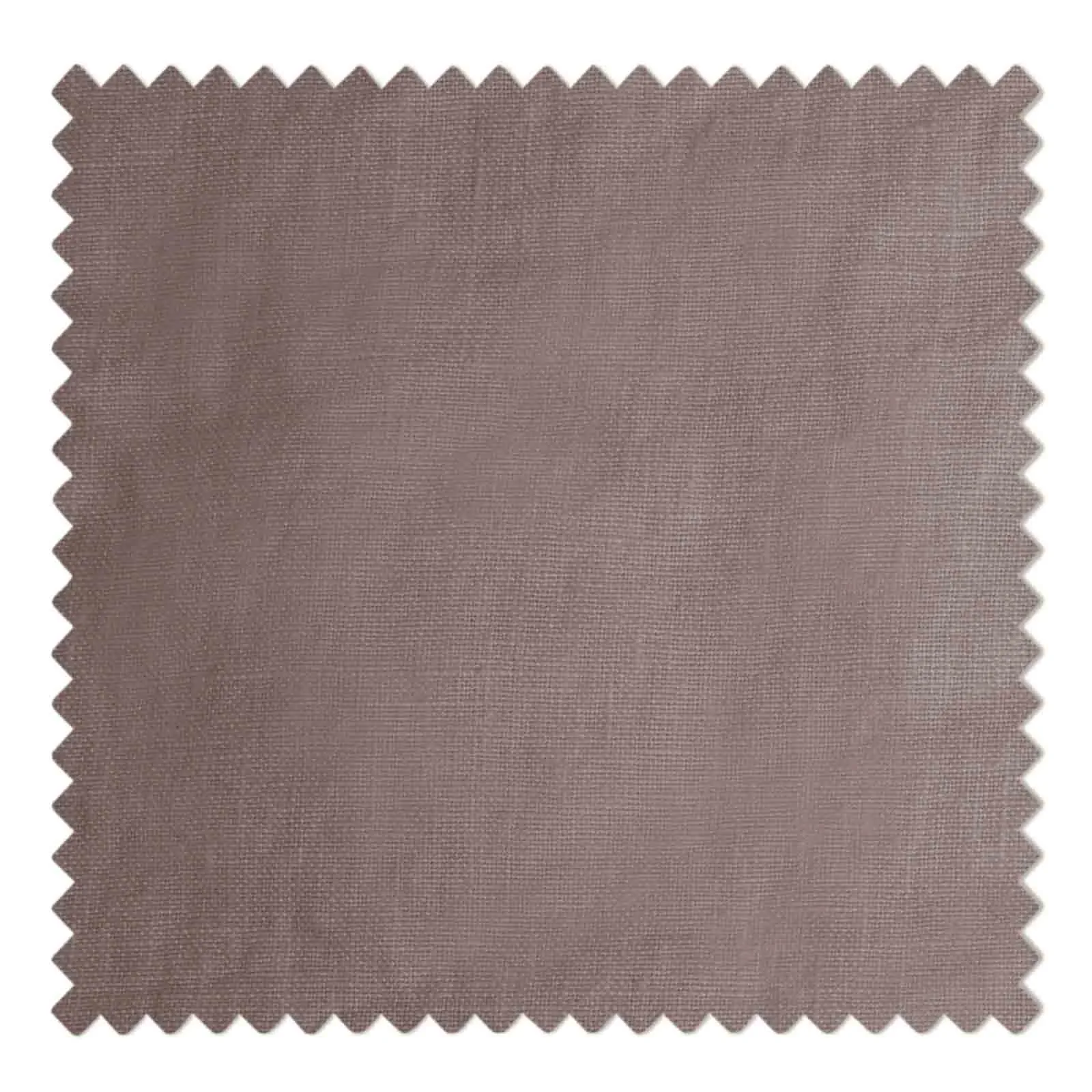01681-13 Cappuccino