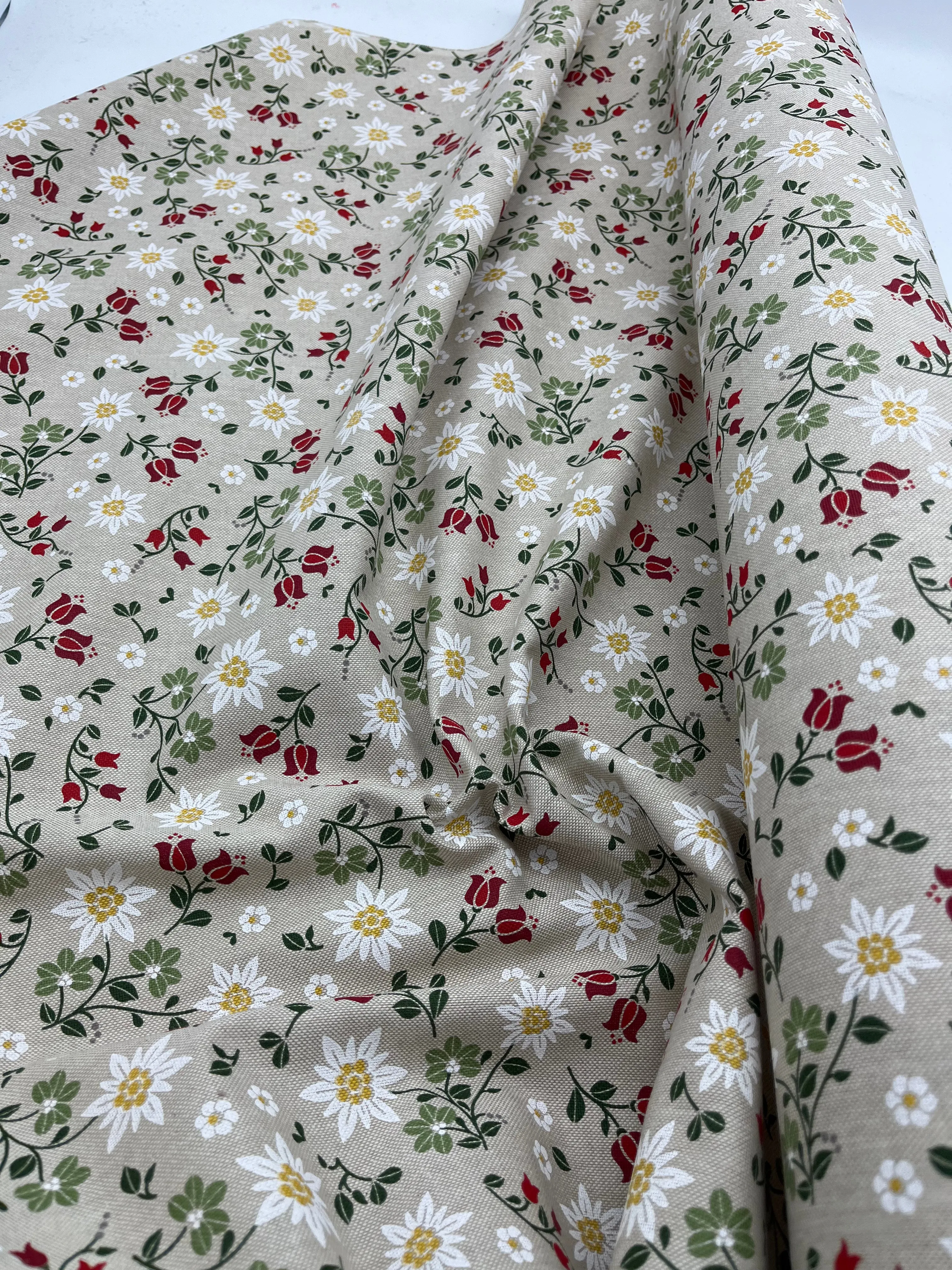 Spanish Cotton - Nordic Flowers